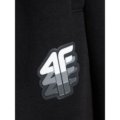 6. Men's jogger sweatpants 4F 4FRAW26TTROM2176-20S
