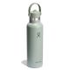 Hydro Flask 21 Oz Standard Flex Straw Cap (621 ml) - agave