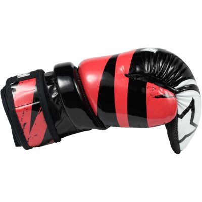 3. Rental of a 5.5 mx 5.5 m floor ring with a 4.9 mx 4.9 m fighting area with transport service