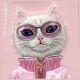 7. Nimmy Cool&Cute 2.0 Cat Case for iPhone 16 Pro - Pink