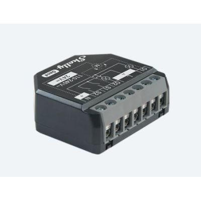 6. Shelly 2PM Gen4 Dual Channel WiFi Energy Meter Controller