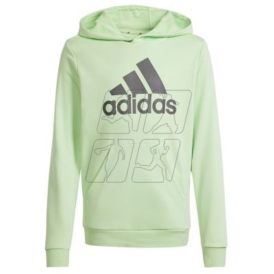 4. Adidas Big Logo Hoodie Jr IS2591 sweatshirt