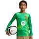 4. Nike FC Barcelona Stadium Goalkeeper 2026/27 Kids' Jersey Green II3610 324