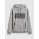 7. Men's regular hooded sweatshirt 4F 4FRSS26TSWSM2975-20S