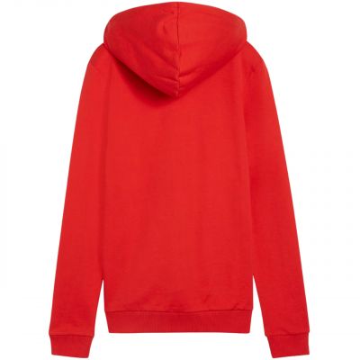 2. Puma Team Goal Casuals Hoody W 658621 01