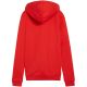 2. Puma Team Goal Casuals Hoody W 658621 01