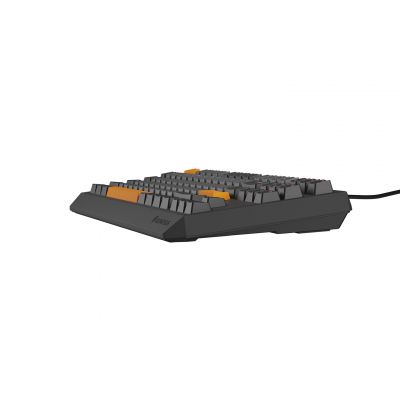 11. GENESIS Thor 230 TKL Gaming Keyboard USB + RF Wireless + Bluetooth QWERTY Black, Gray, Orange