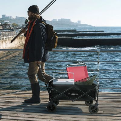 11. Wozinsky WZP-100 beach, tourist, garden trolley, durable, wide wheels, with safety net up to 100 kg - black