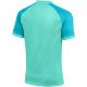 2. Nike Dri-FIT TrophyVI Men's T-Shirt Turquoise HV8151 354