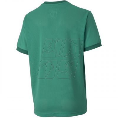3. Puma teamGOAL 23 Jersey Jr T-shirt 704160 05