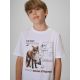 3. Boy's regular printed T-shirt 4F 4FJKAW26TTSHM4452-10S