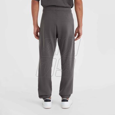 4. O&#39;Neill Future Surf Society Jogger M 92800613481 pants