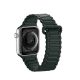 2. Dux Ducis Strap (Armor Version) strap Apple Watch Ultra, SE, 9, 8, 7, 6, 5, 4, 3, 2, 1 (49, 45, 44, 42 mm) silicone magnetic strap bracelet green