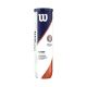 3. Wilson Roland Garros Clay Court Tennis Balls 4 pcs WRT115000