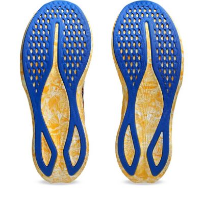 4. Asics Noosa Tri 16 Shoes