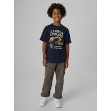 Boys' Regular Fit Printed T-Shirt 4F 4FJRAW26TTSHM4526-31S