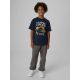Boys' Regular Fit Printed T-Shirt 4F 4FJRAW26TTSHM4526-31S