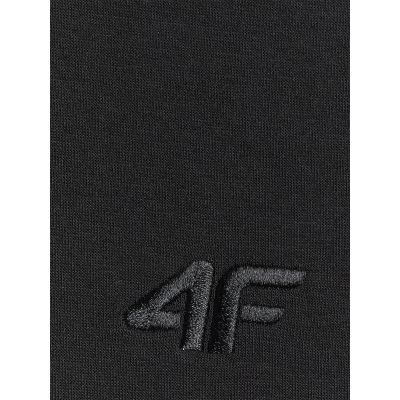 8. Men's regular hooded sweatshirt 4F 4FRSS26TSWSM2793-20S