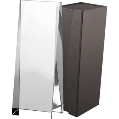 3. Glass trophy with case