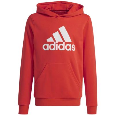 Adidas Big Logo Hoodie Jr IX9531 sweatshirt