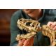 11. LEGO 76968 Jurassic World - Dinosaur Skeletons, Tyrannosaurus