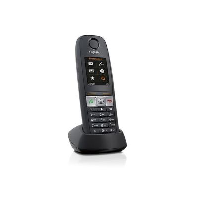 2. Analog/DECT telephone, Gigaset E630HX, cordless handset, handsfree, 200 entries, caller ID, gray