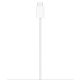 4. Apple MagSafe Charger (1m) (MGD74ZM/A)
