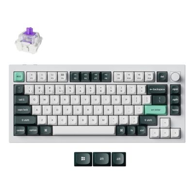 Keychron Q1 HE Keyboard Universal USB + RF Wireless + Bluetooth White