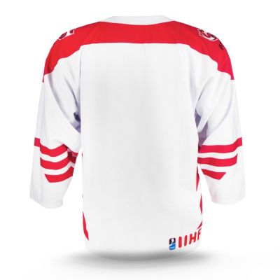 6. Replica of the PZHL Sr game jersey