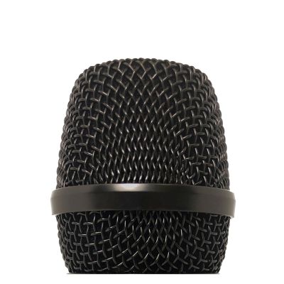 2. PRODIPE TT1 LANEN - Dynamic microphone