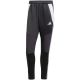 8. Adidas Tiro 24 WInterized M pants IM9974