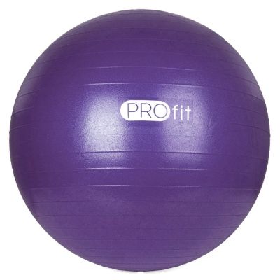 212. PROfit 55cm Gymnastics Ball with Pump DK2102
