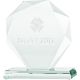 5. 3D engraved glass trophy with case