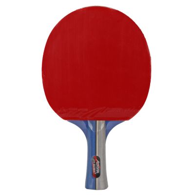 3. Aurora PRO 2* SG 2002 table tennis racket
