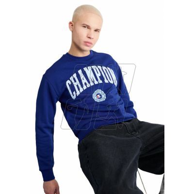 3. Champion Rochester Crewneck Sweatshirt M 219839.BS559