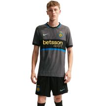 Nike Inter Milan Match Men’s Football Shirt 2026/27 Grey II6640 069