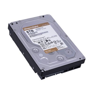 3. Server HDD WD Gold DC HA750 WD8005FRYZ (8 TB; 3.5"; SATA)