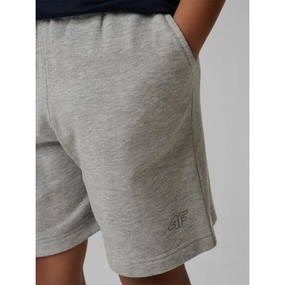 6. Boy's sweatpants 4F 4FJRSS26TSHOM0866-25M