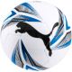 2. Football Puma Cat Ball 0832920 2