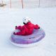 24. Meteor Aurora 16761 snow slide