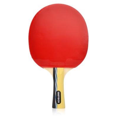 15. Meteor Mistral 15017 Table Tennis Racket