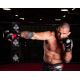 20. MMAsparring gloves L/XL - Phantom Red - Valor Series | DBX Bushido