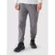 Men's casual joggers 4F 4FWMM00TTROM0944-25S