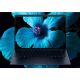 5. HP EliteBook X G1i 14 inch Notebook Next Gen AI PC Copilot+ PC Intel Core Ultra 7 258V Laptop 35.6 cm (14") 2K 32 GB LPDDR5x-SDRAM 1 TB SSD Wi-Fi 7 (802.11be) Windows 11 Pro Blue
