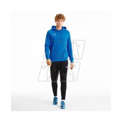 3. Puma TeamGoal 23 Casuals M 656580-02 sweatshirt