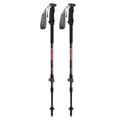Gabel ESCAPE CARBON Lite TOUR AI 7008472300000 poles