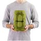 4. SEA TO SUMMIT Camp Mat Tarragon Self-Inflating Mat