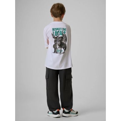2. Boys' cargo sweatpants 4F 4FJKAW26TTROM2085-22S