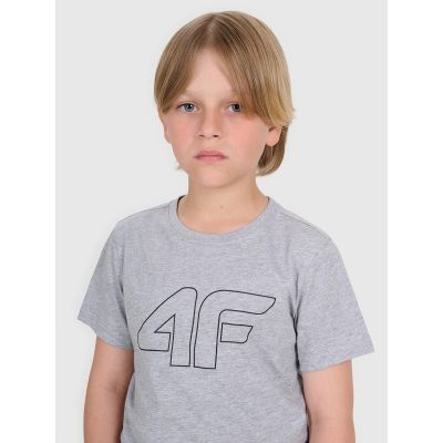3. Boy's regular printed T-shirt 4F 4FJRMM00TTSHM3255-25M