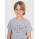 3. Boy's regular printed T-shirt 4F 4FJRMM00TTSHM3255-25M